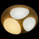 10009-0.3-60W AEROLITE светильник потолочный - Царь-Свет - светильники, мебель, предметы интерьера