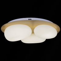 10009-0.3-60W AEROLITE светильник потолочный - Царь-Свет - светильники, мебель, предметы интерьера