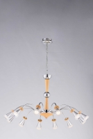 009D/12 CHROME светильник потолочный - Царь-Свет - светильники, мебель, предметы интерьера