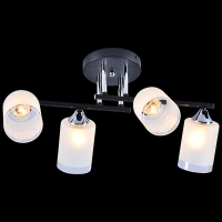 01242-0.3-04 BK+CR светильник потолочный - Царь-Свет - светильники, мебель, предметы интерьера
